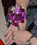 Jersey Highlands Orchid Society April 28, 2015